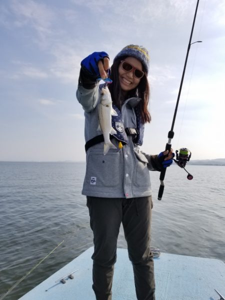 アマテラス 釣果