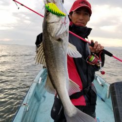 アマテラス 釣果