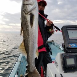 アマテラス 釣果