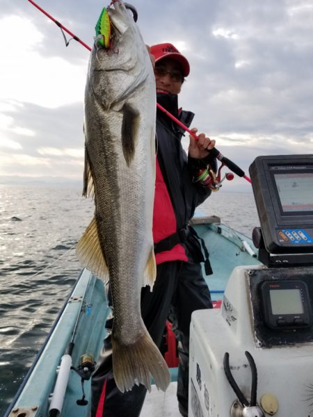 アマテラス 釣果