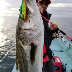 アマテラス 釣果