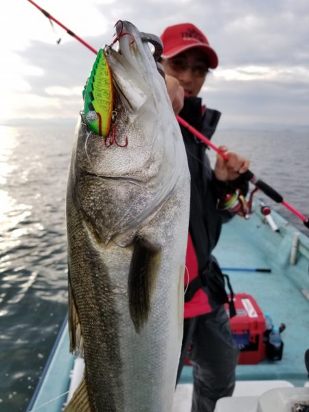 アマテラス 釣果