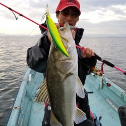 アマテラス 釣果