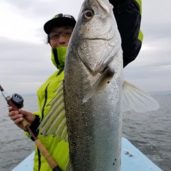 アマテラス 釣果