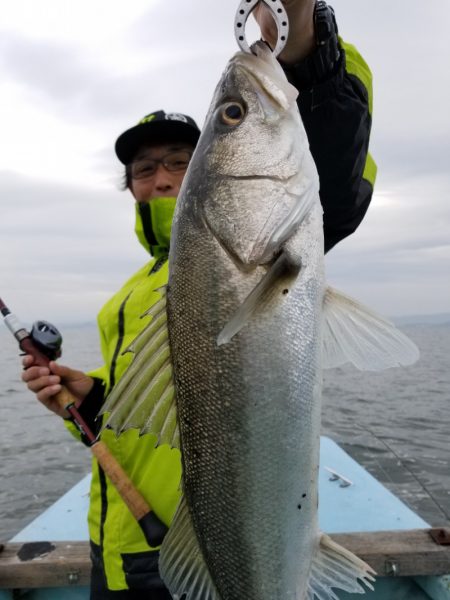 アマテラス 釣果