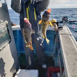 芳陽丸 釣果