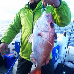 ブルドック 釣果