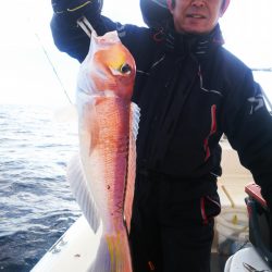 ブルドック 釣果