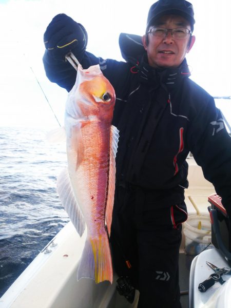 ブルドック 釣果