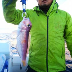 ブルドック 釣果