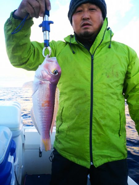 ブルドック 釣果