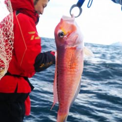 ブルドック 釣果