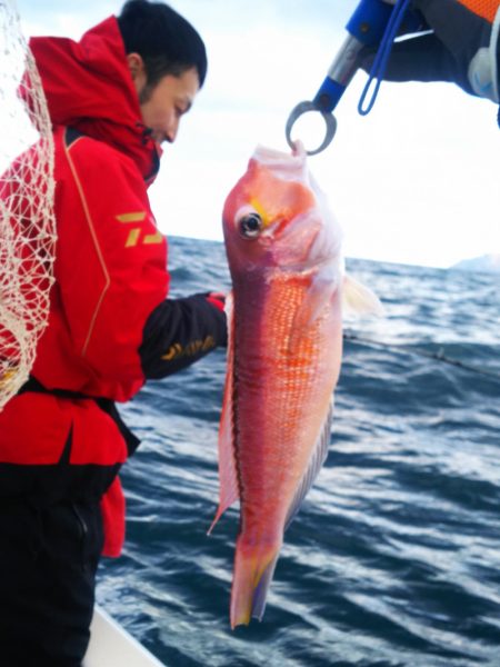 ブルドック 釣果