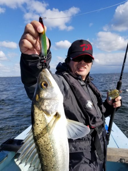 アマテラス 釣果