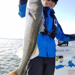 アマテラス 釣果