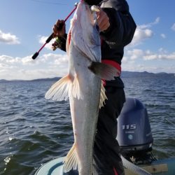 アマテラス 釣果