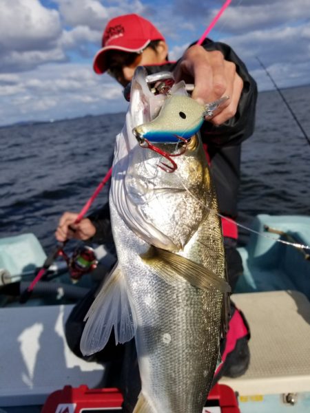 アマテラス 釣果