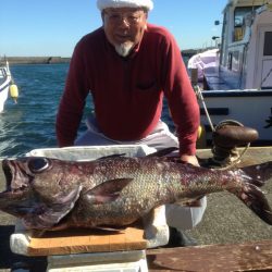 晃山丸 釣果