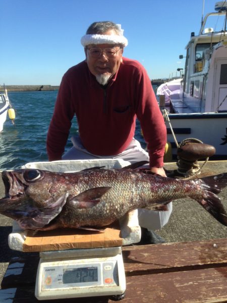 晃山丸 釣果