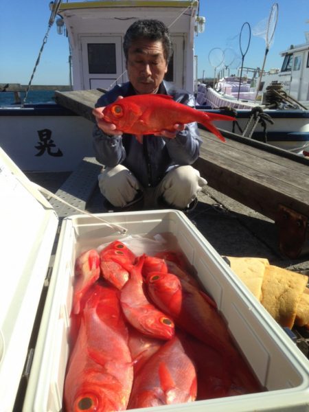 晃山丸 釣果