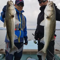 アマテラス 釣果