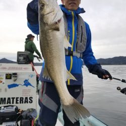 アマテラス 釣果