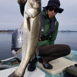 アマテラス 釣果