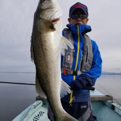 アマテラス 釣果