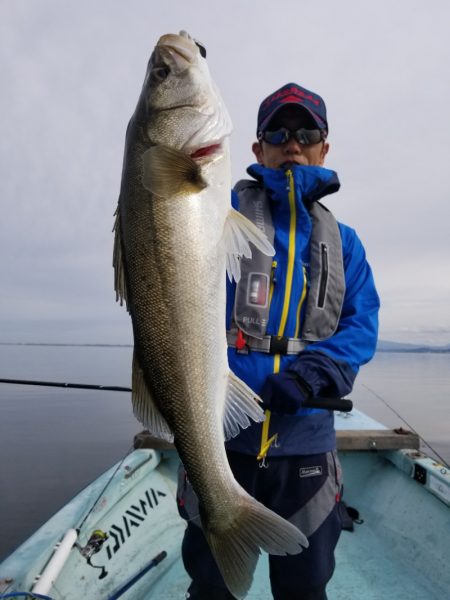 アマテラス 釣果