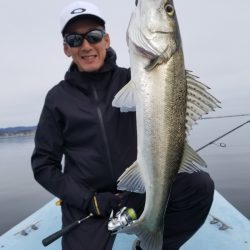 アマテラス 釣果