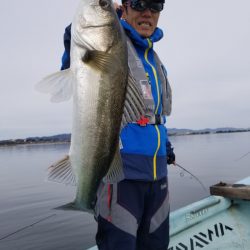 アマテラス 釣果