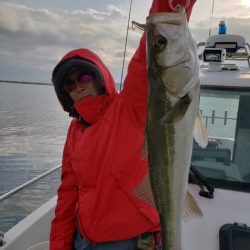 海龍丸（島根） 釣果