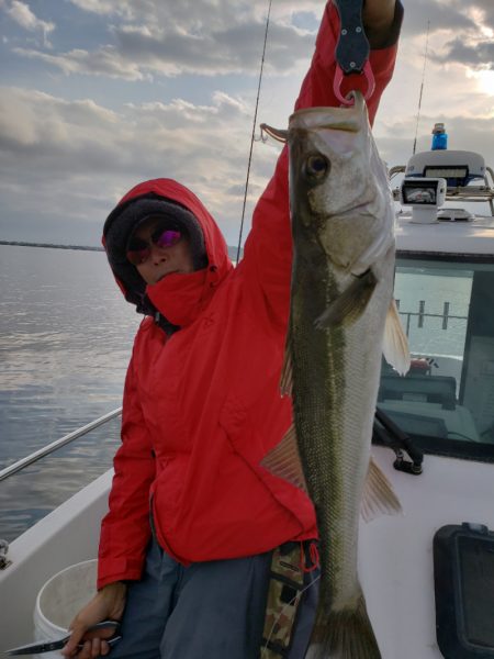 海龍丸（島根） 釣果
