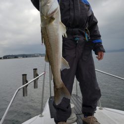 海龍丸（島根） 釣果