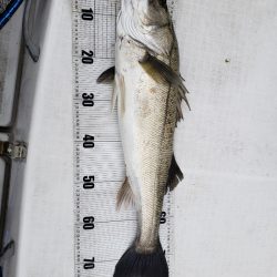 海龍丸（島根） 釣果