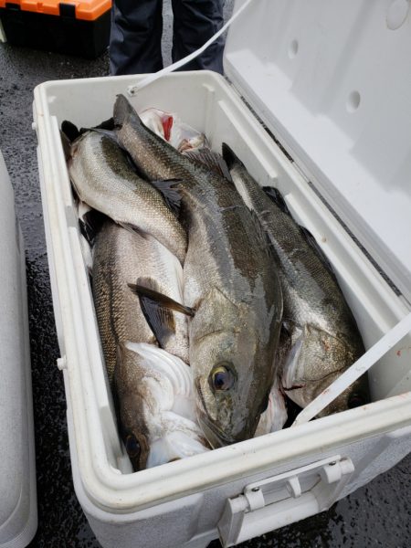 海龍丸（島根） 釣果
