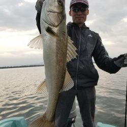 アマテラス 釣果