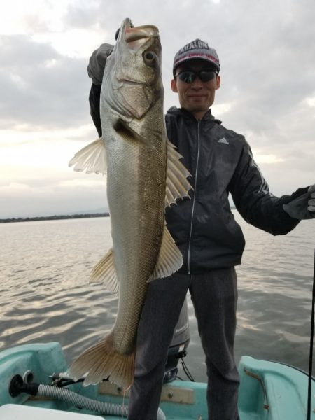 アマテラス 釣果