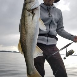 アマテラス 釣果