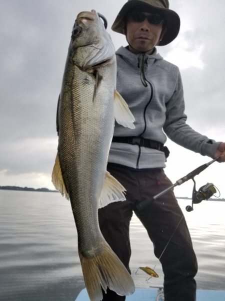 アマテラス 釣果