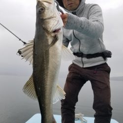 アマテラス 釣果