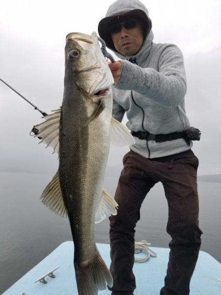 アマテラス 釣果