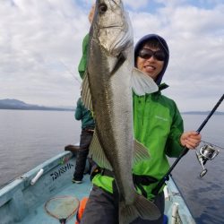 アマテラス 釣果