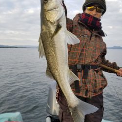 アマテラス 釣果