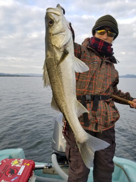 アマテラス 釣果