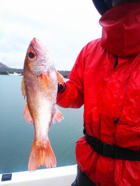 ブルドック 釣果