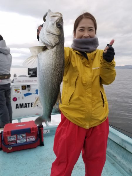 アマテラス 釣果