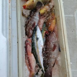 bay style 釣果