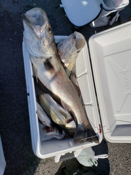 海龍丸（島根） 釣果