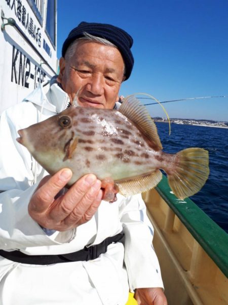 島きち丸 釣果